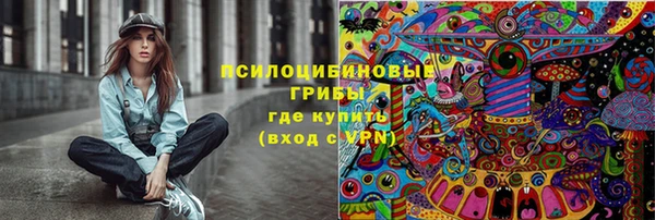 дмт Алзамай