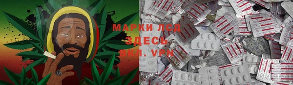 дмт Алзамай