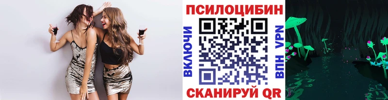 Галлюциногенные грибы Psilocybe  Артём 
