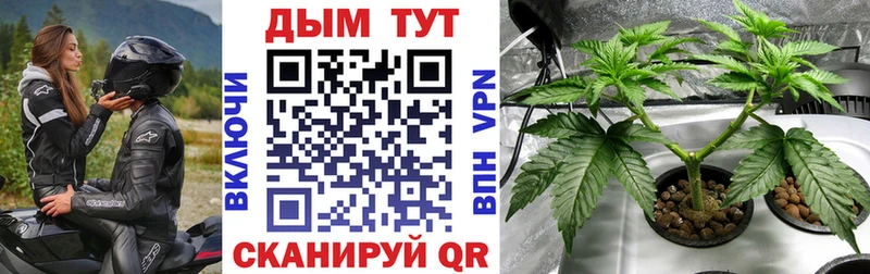 Конопля SATIVA & INDICA Артём